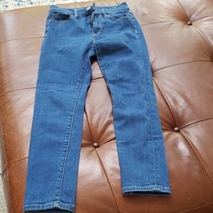 BDG high rise twig grazer